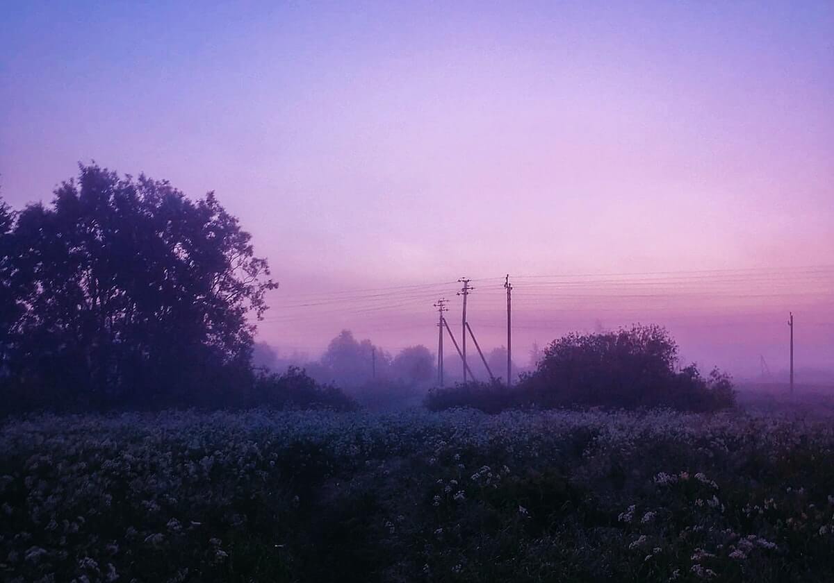 开云体登录-2025中国金球奖各奖项得主揭晓